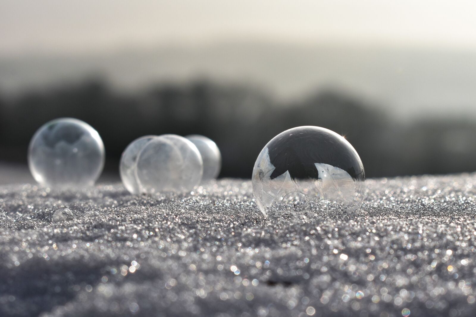 Nikon D5500 sample photo. Soap bubbles, frozen, frost photography