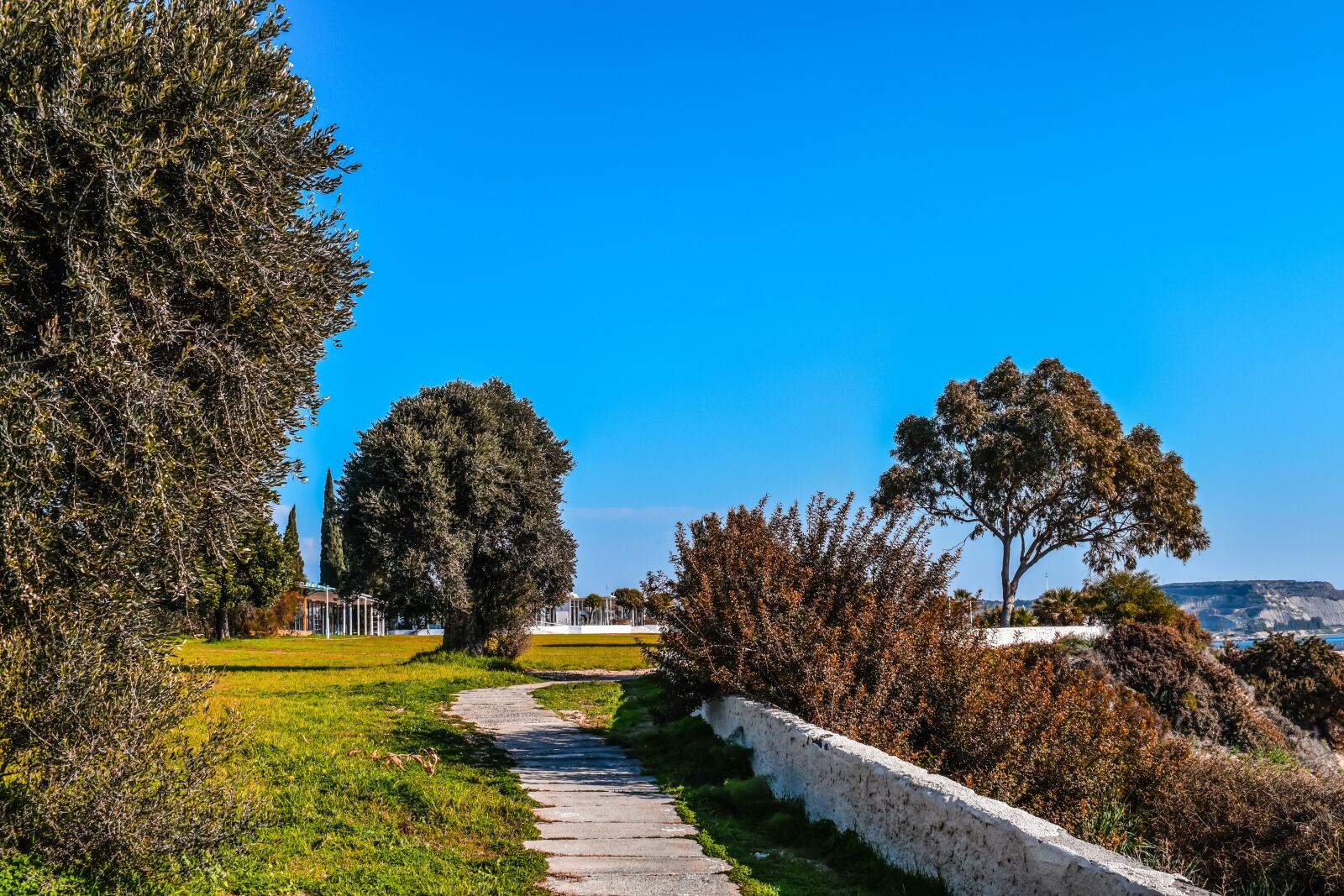 Nikon D3300 sample photo. Cyprus, governor's beach, coastal photography