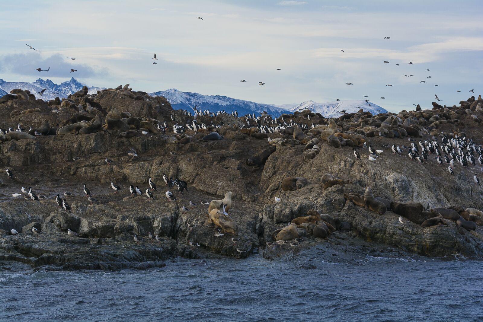 Nikon D7100 sample photo. Ushuaia, patagonia, argentina photography