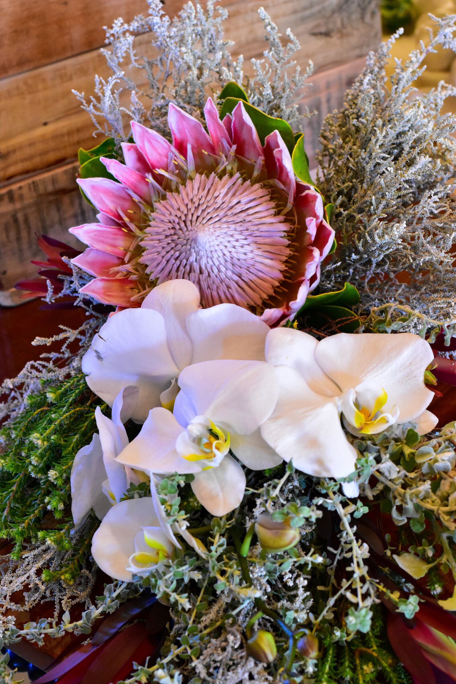 Nikon D5500 sample photo. Flower bouquet, king protea photography