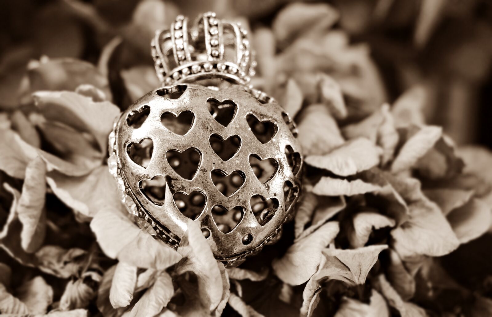 Canon EOS 100D (EOS Rebel SL1 / EOS Kiss X7) sample photo. Heart, love, romance photography