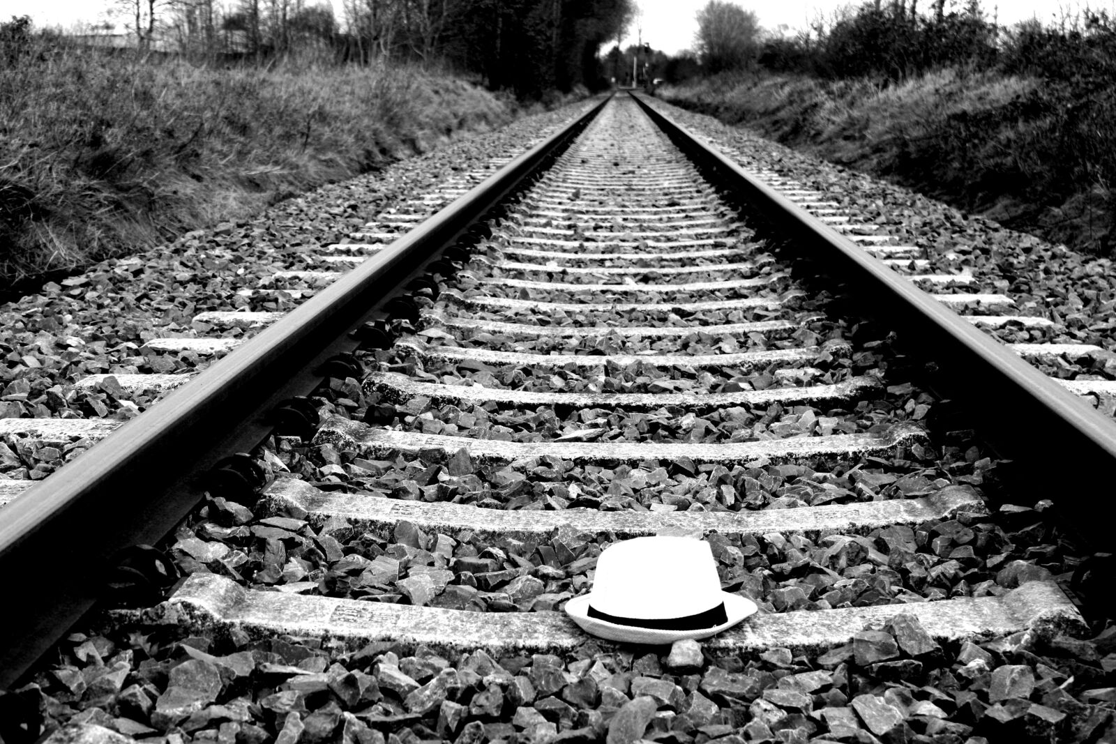 Canon EOS 1000D (EOS Digital Rebel XS / EOS Kiss F) sample photo. Railway, railway line, train photography