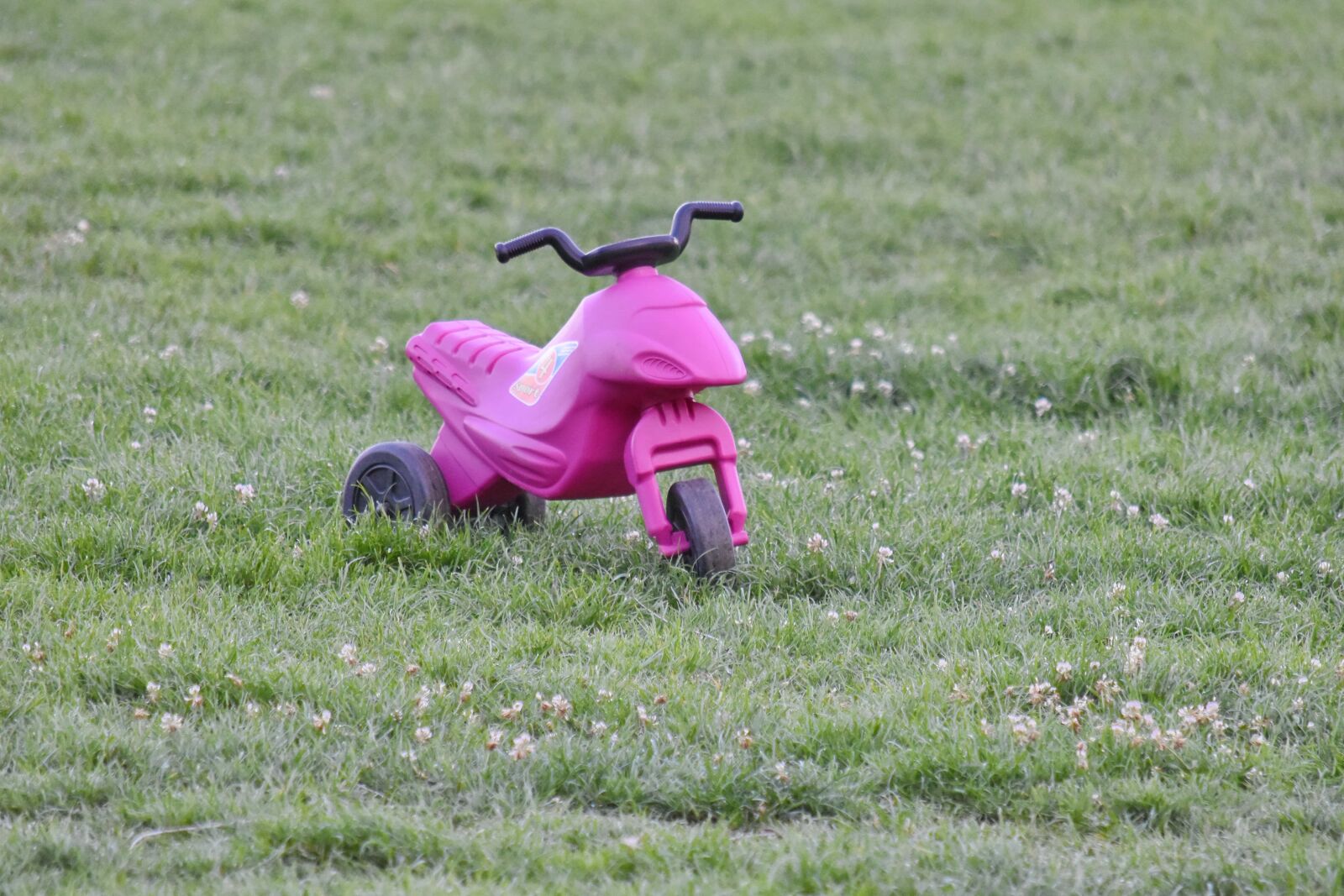 Nikon D5500 sample photo. Toy, tricycle, conveyance, park photography