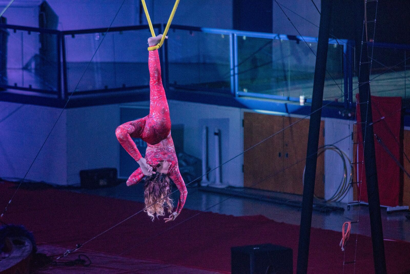 Nikon D750 sample photo. Acrobat, pink, circus photography