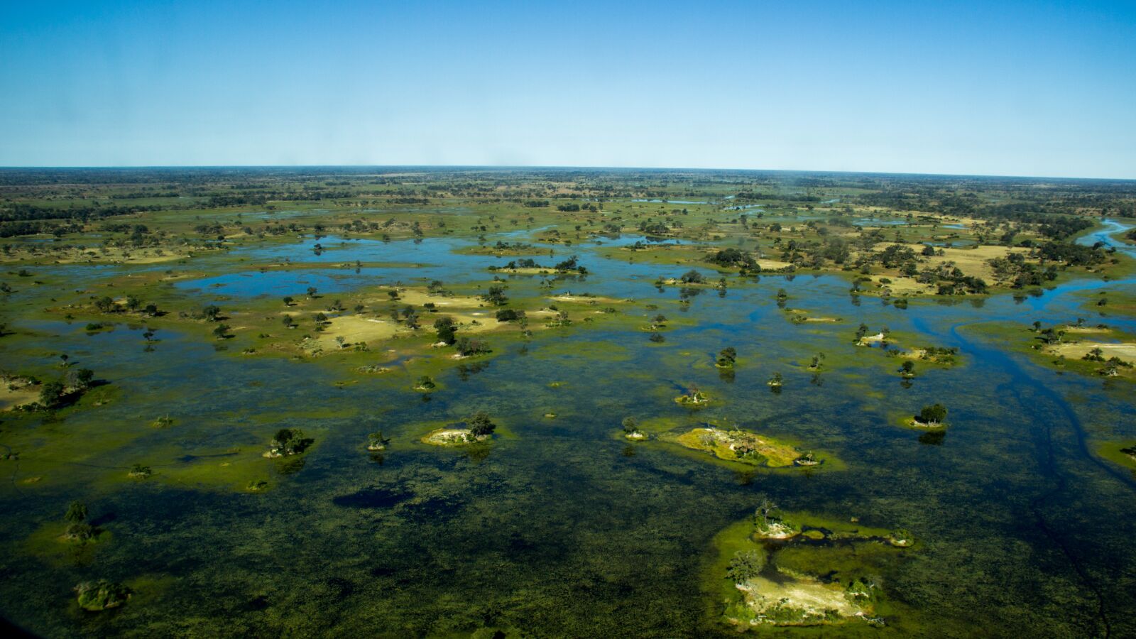 Canon EOS 600D (Rebel EOS T3i / EOS Kiss X5) + Canon EF-S 18-135mm F3.5-5.6 IS sample photo. Okavango, botswana, aerial photography