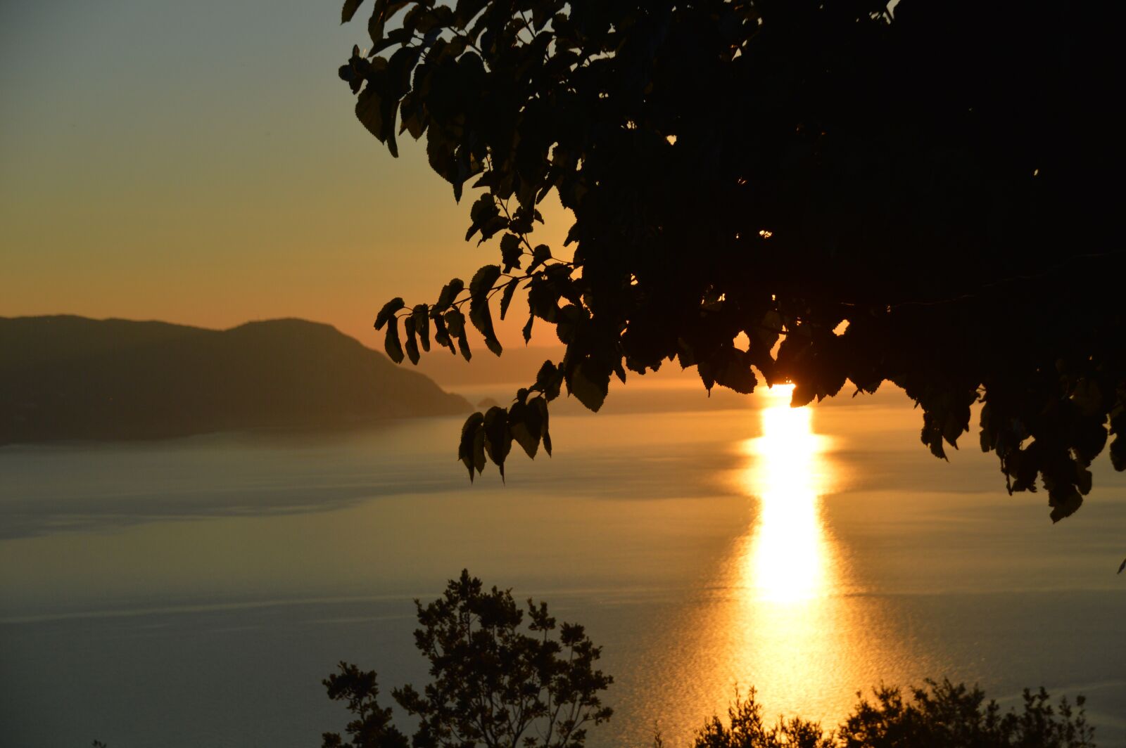 Nikon D3200 sample photo