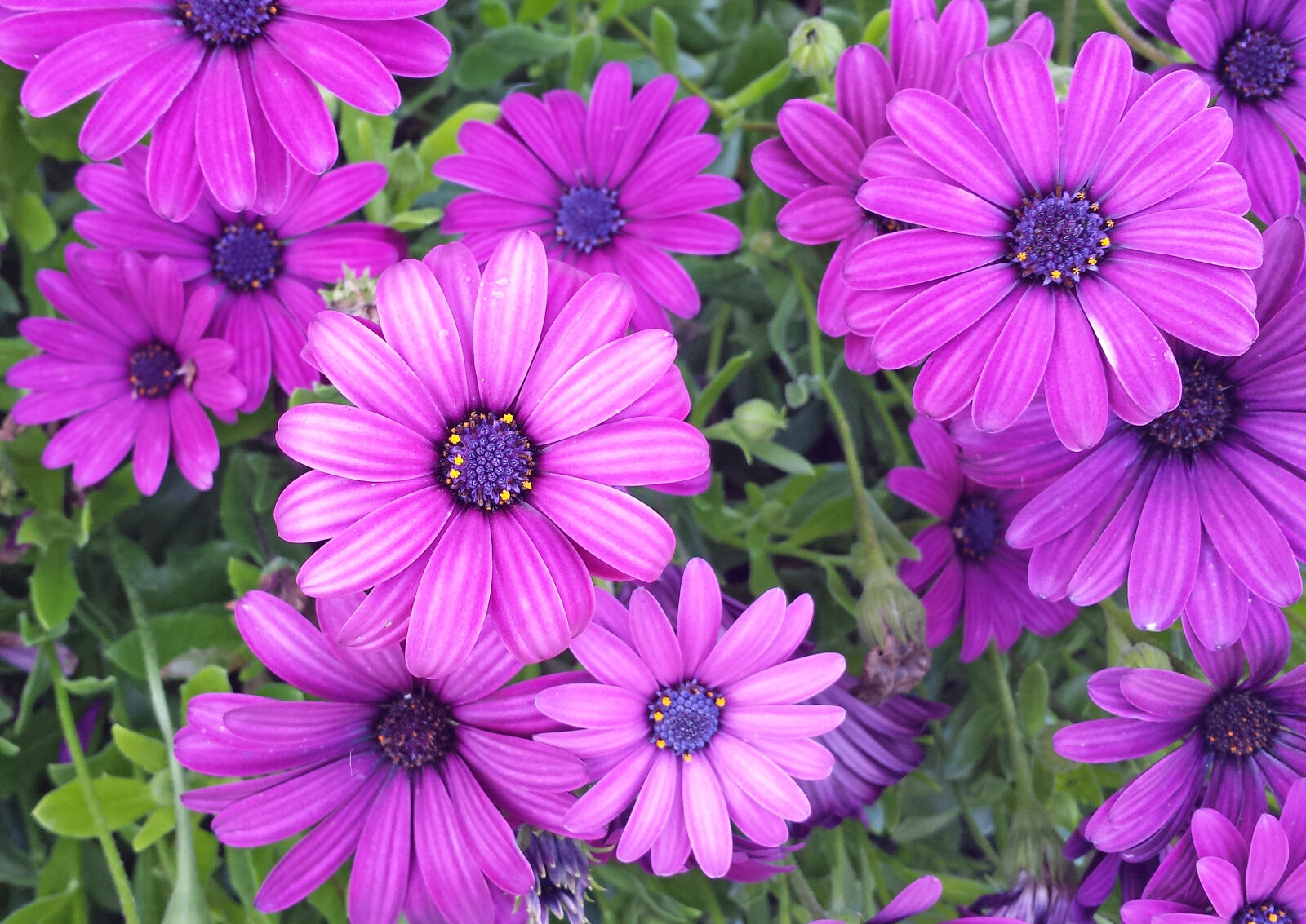 Samsung Galaxy S4 sample photo