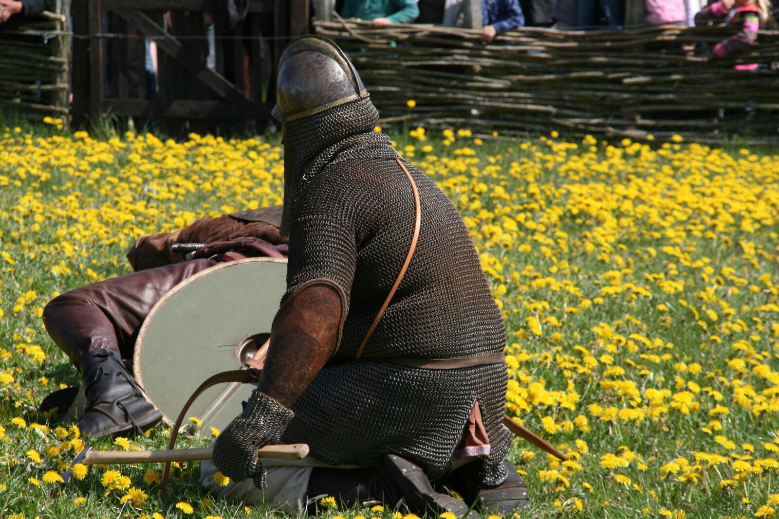 Sigma 18-200mm f/3.5-6.3 DC OS sample photo. Vikings photography