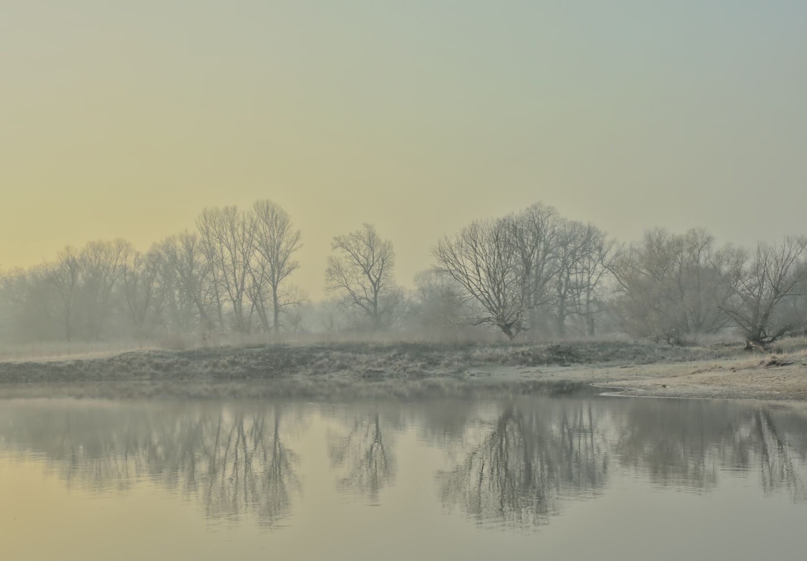 Nikon D5600 sample photo. River landscape, river, fog photography