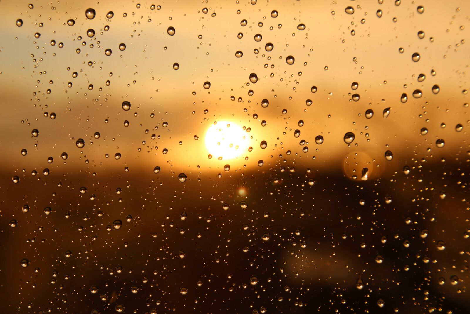 Canon EOS 1200D (EOS Rebel T5 / EOS Kiss X70 / EOS Hi) sample photo. Rain, sun, window photography