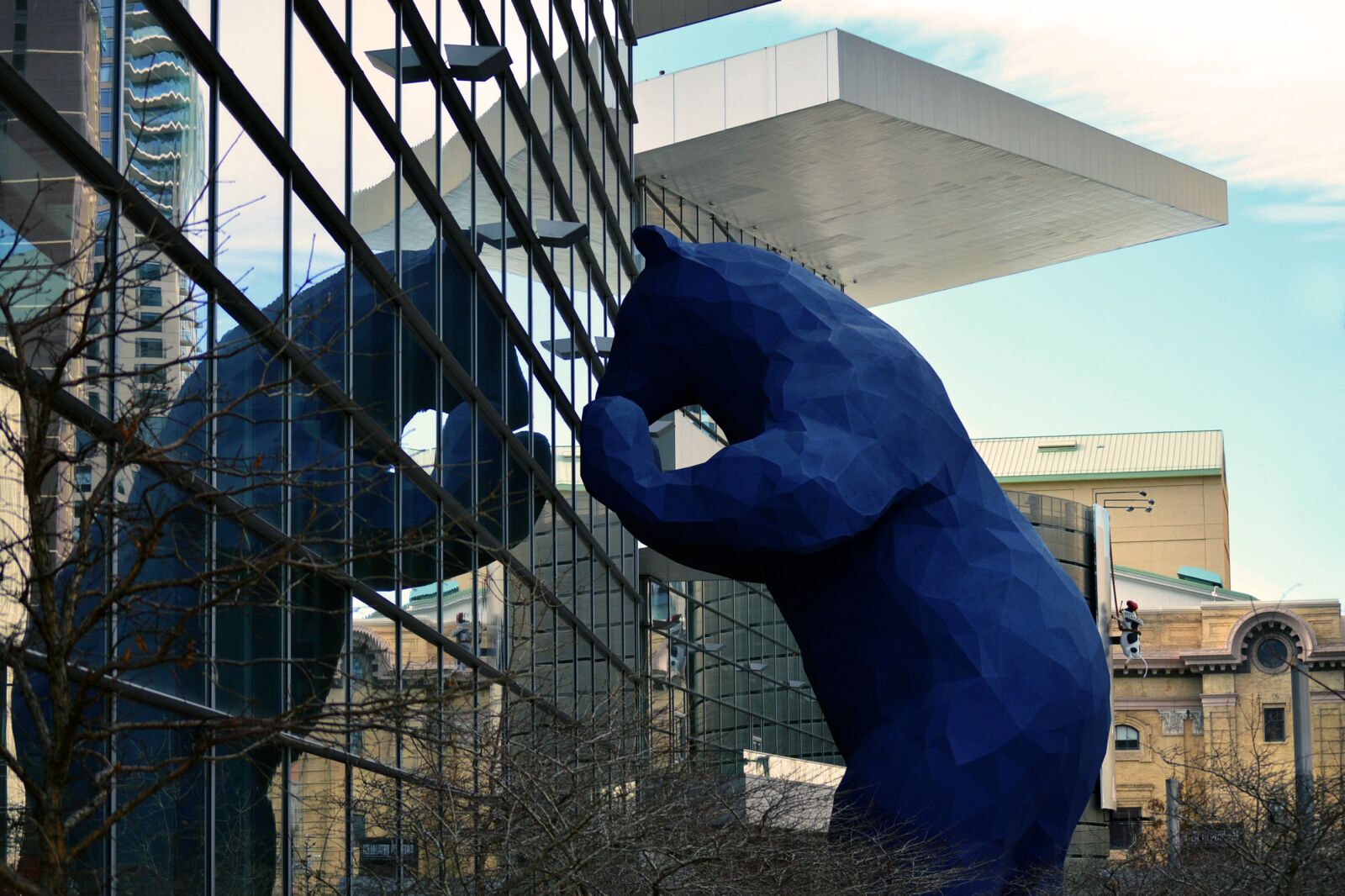 Nikon D3200 sample photo. Blue, bear, denver photography