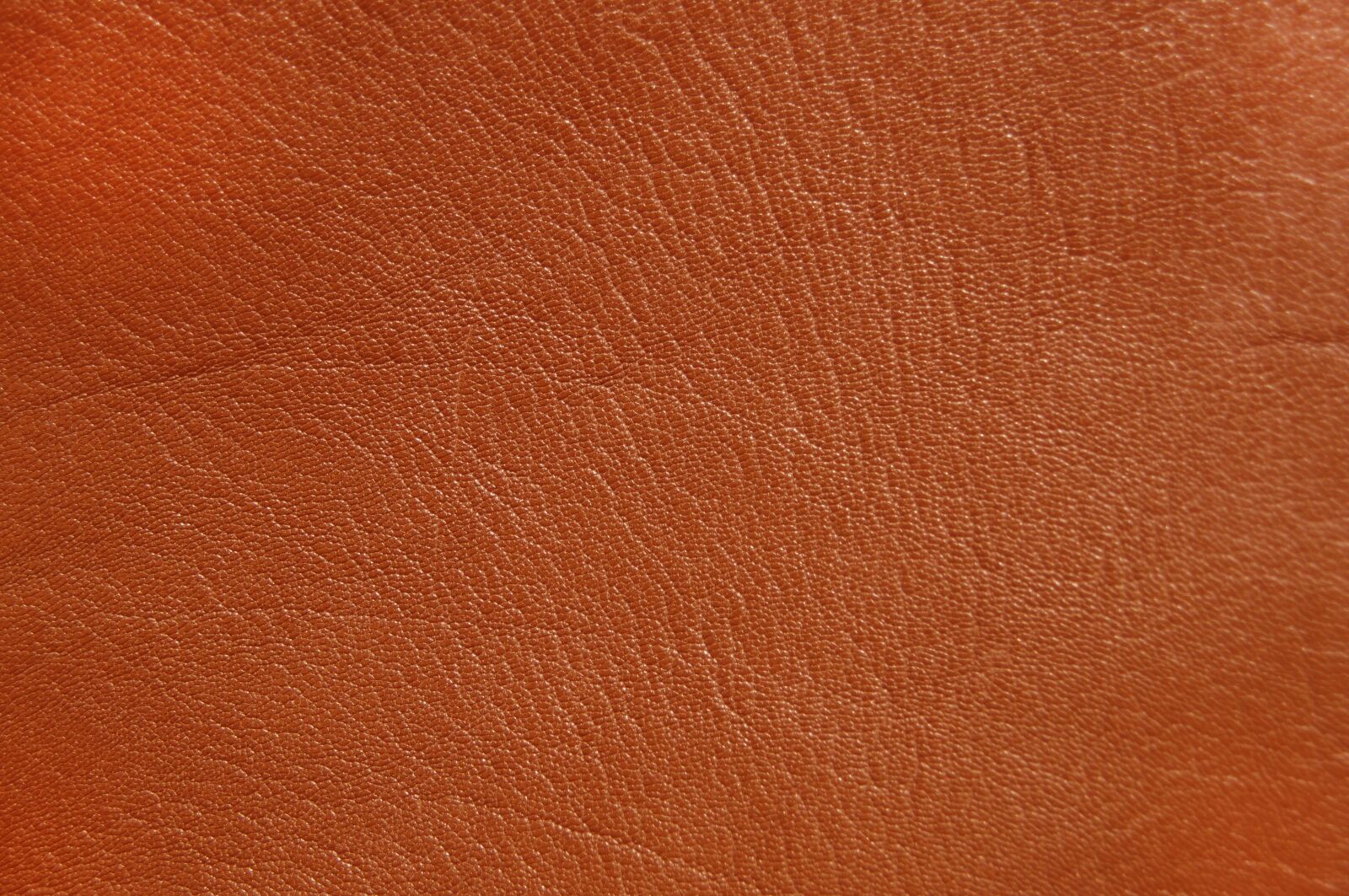 Sony SLT-A57 sample photo. Leather, background, structure photography