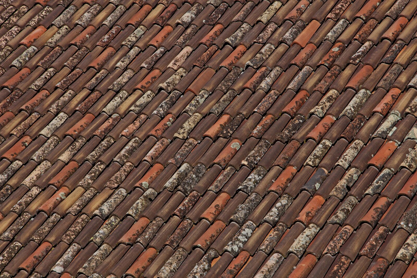 Canon EOS 60D + Tamron 16-300mm F3.5-6.3 Di II VC PZD Macro sample photo. Roof, roofing, background photography