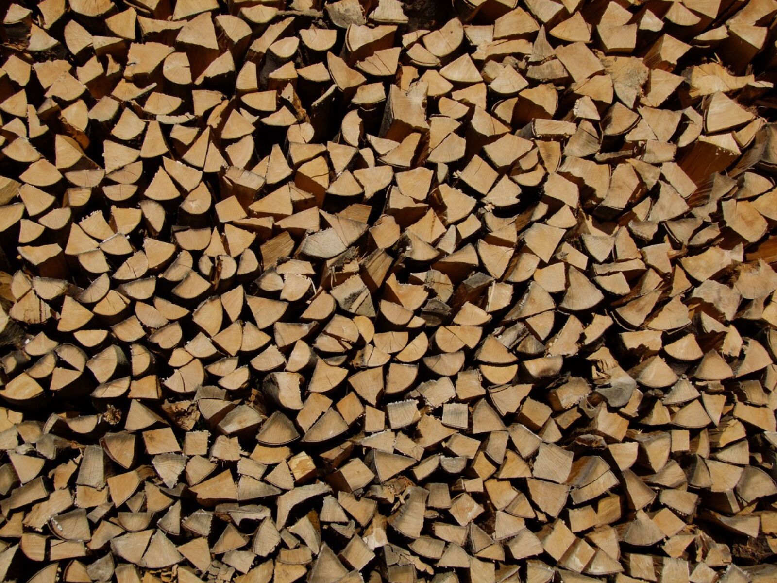 Fujifilm FinePix S100fs sample photo. Wood, fuel, firewood photography