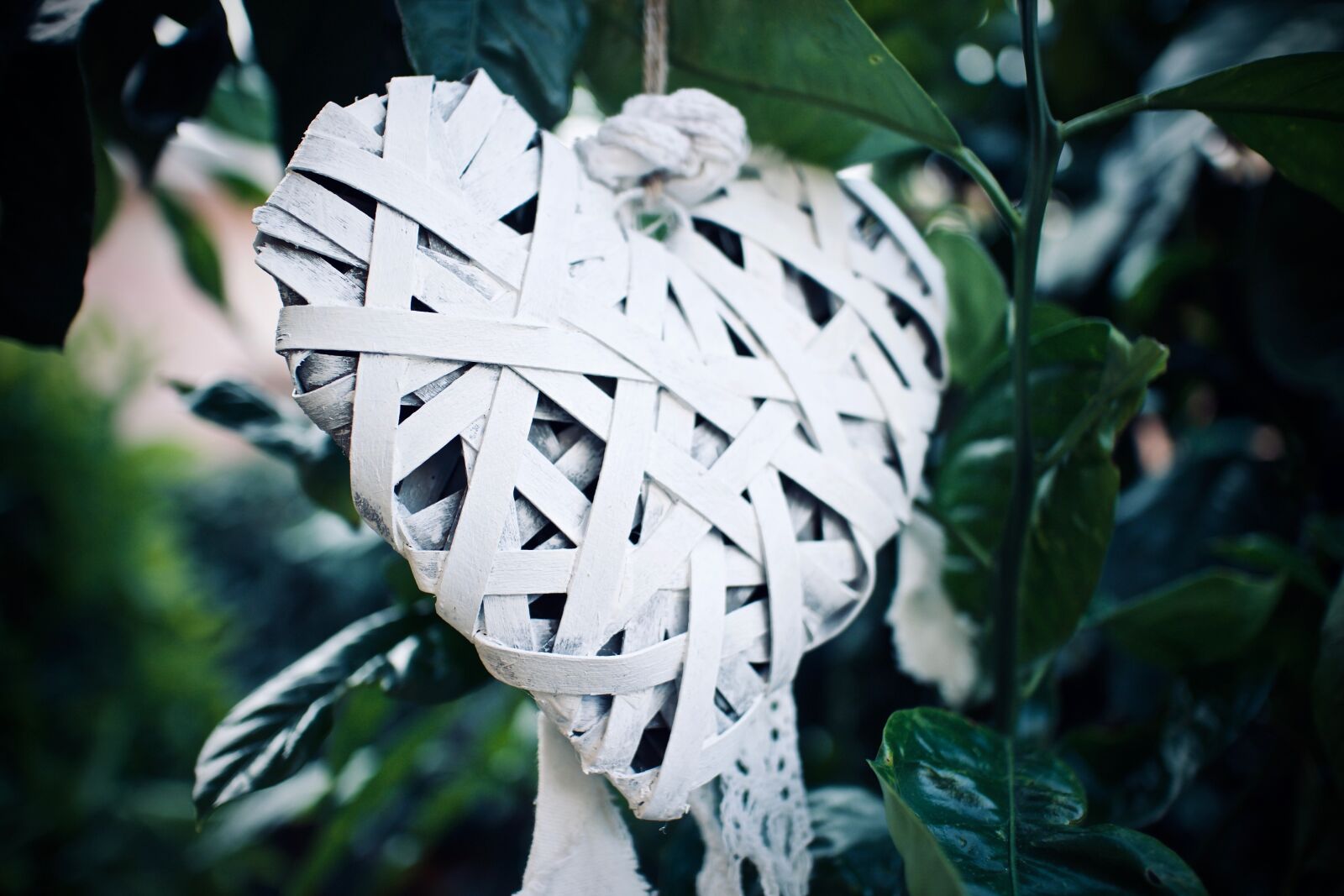 Canon EOS M sample photo. Heart, love, romantic photography