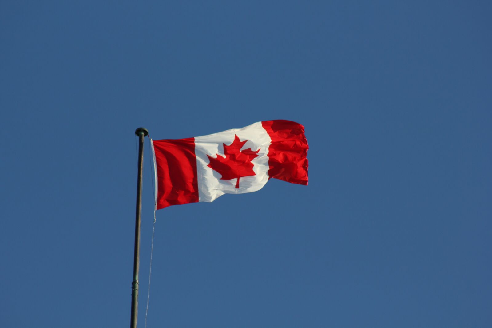 Canon EOS 550D (EOS Rebel T2i / EOS Kiss X4) sample photo. Canada flag, flag, canada photography