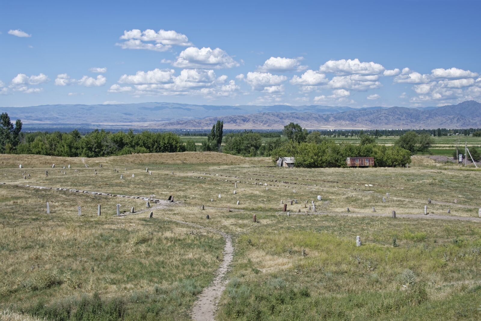 Nikon D500 sample photo. Kyrgyzstan, graveyard of balbals photography