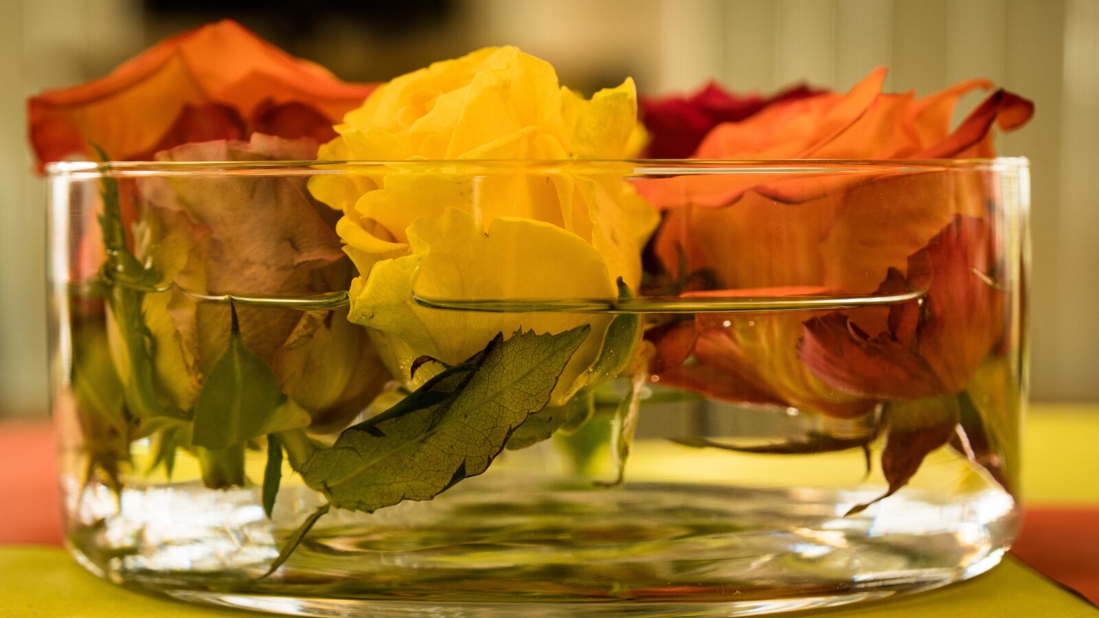 Sony a6500 + Sony Vario-Tessar T* E 16-70mm F4 ZA OSS sample photo. Roses, blossom, bloom photography