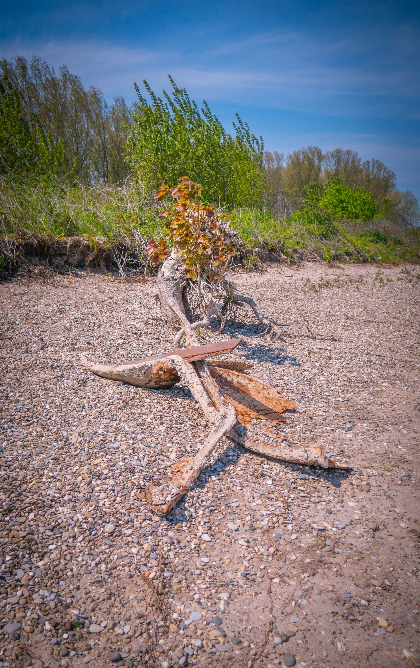 Panasonic Lumix DMC-GX7 sample photo. Rhine, river, nature photography
