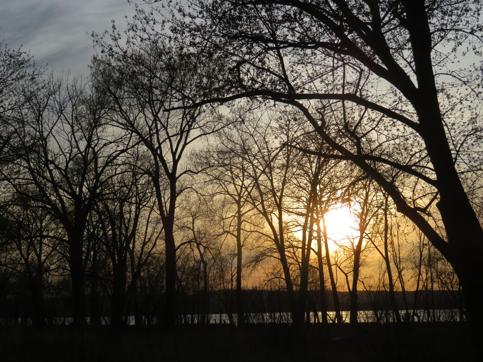 Canon PowerShot SX720 HS sample photo. Sunset, sun, trees photography