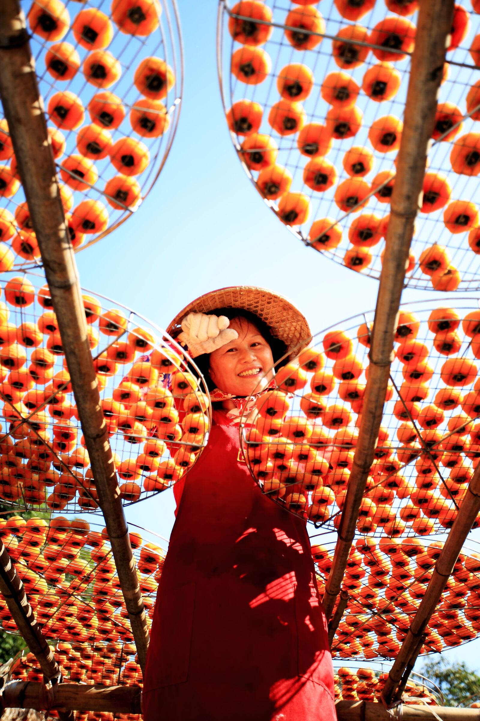 Canon EOS 5D sample photo. Orange, tangerine, chinese dry photography