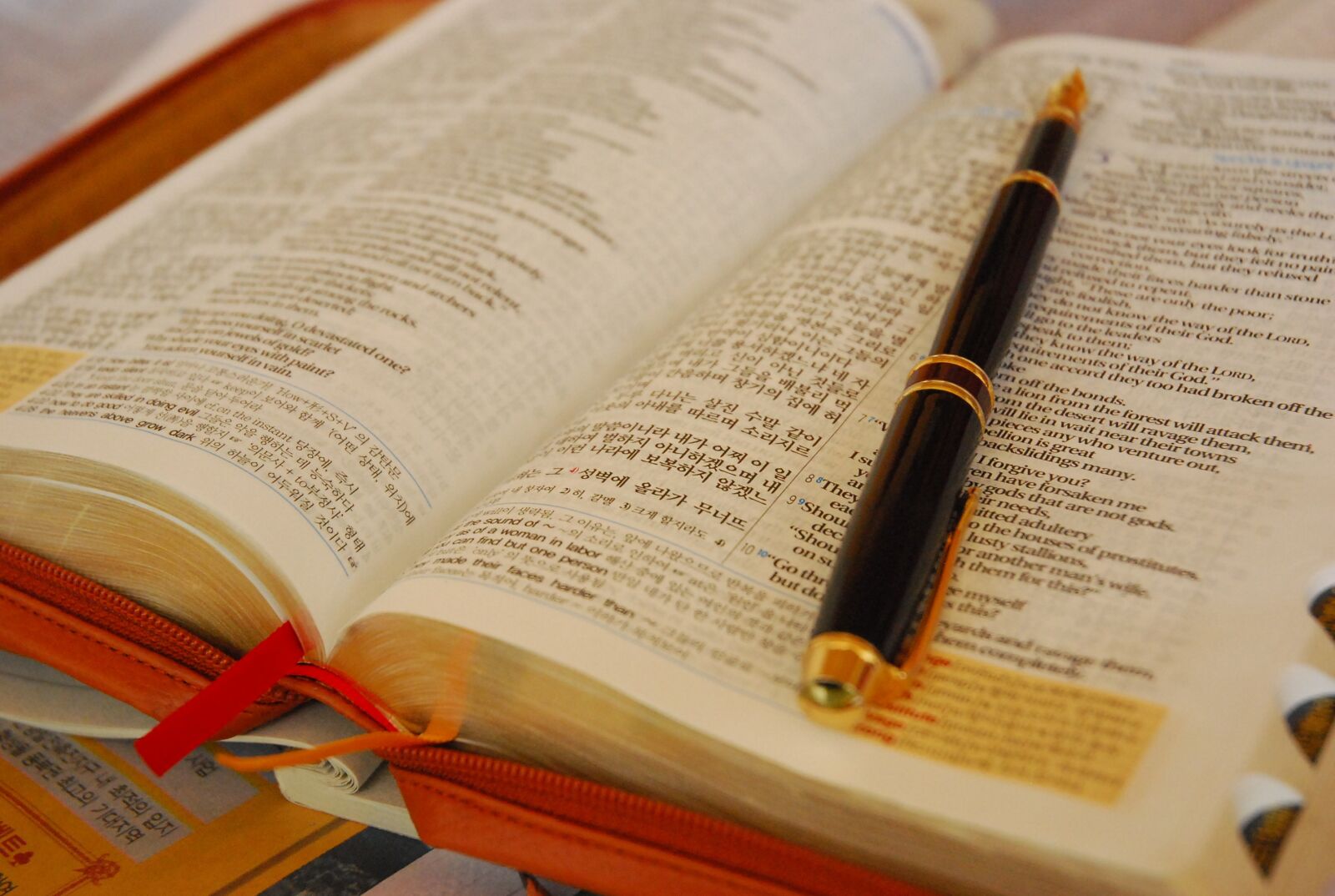 Nikon D80 sample photo. Book, fountain pen, the photography