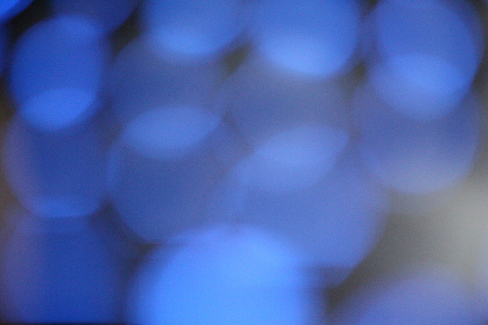 Canon EOS 700D (EOS Rebel T5i / EOS Kiss X7i) sample photo