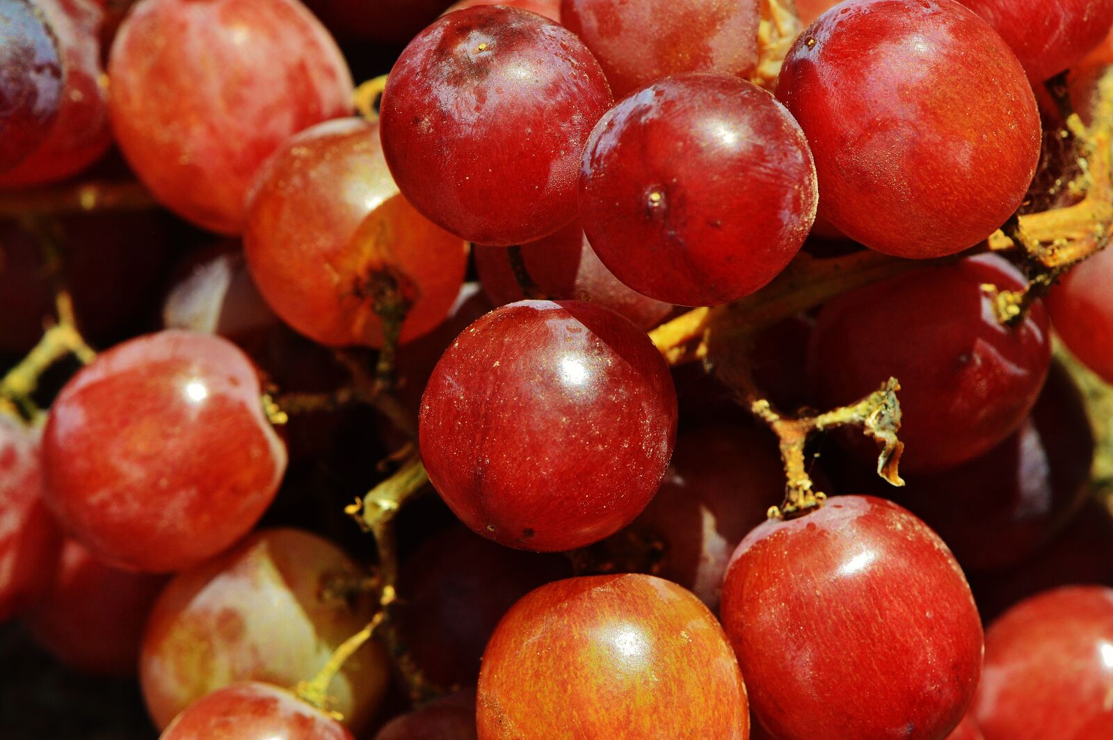 Nikon D3200 sample photo. Grapes, fruit, table grapes photography