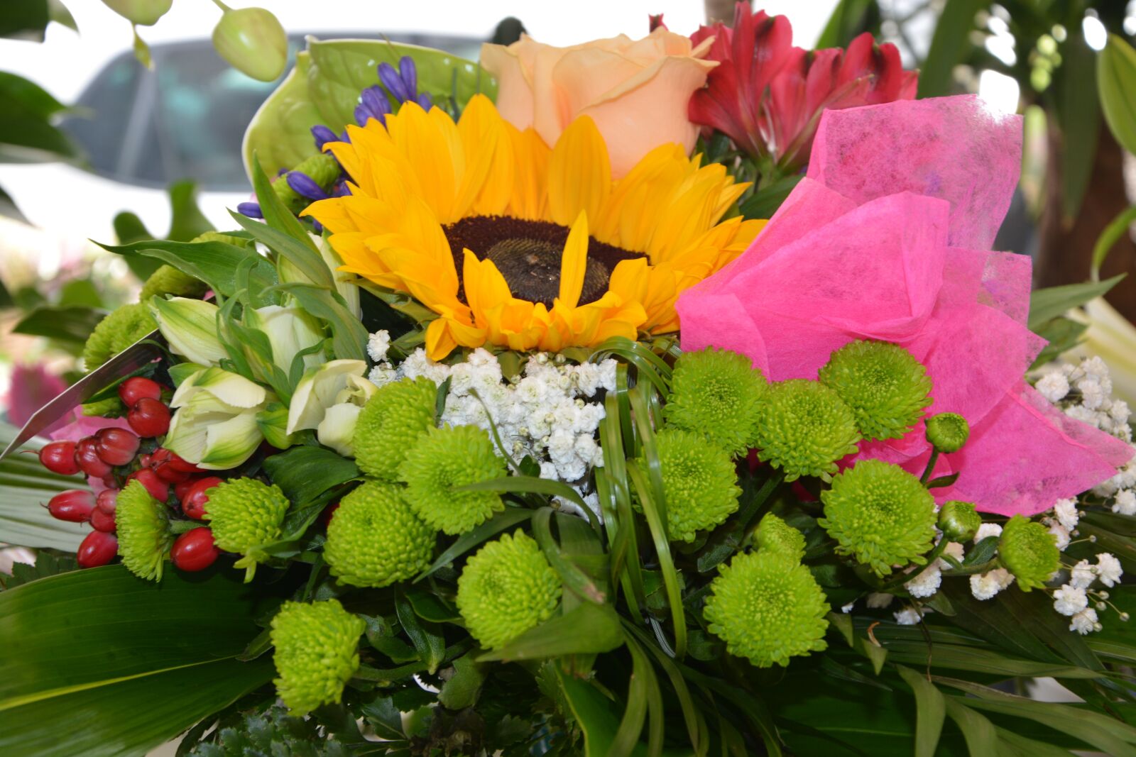 Nikon D5200 sample photo. Plants, flowers, floral composition photography