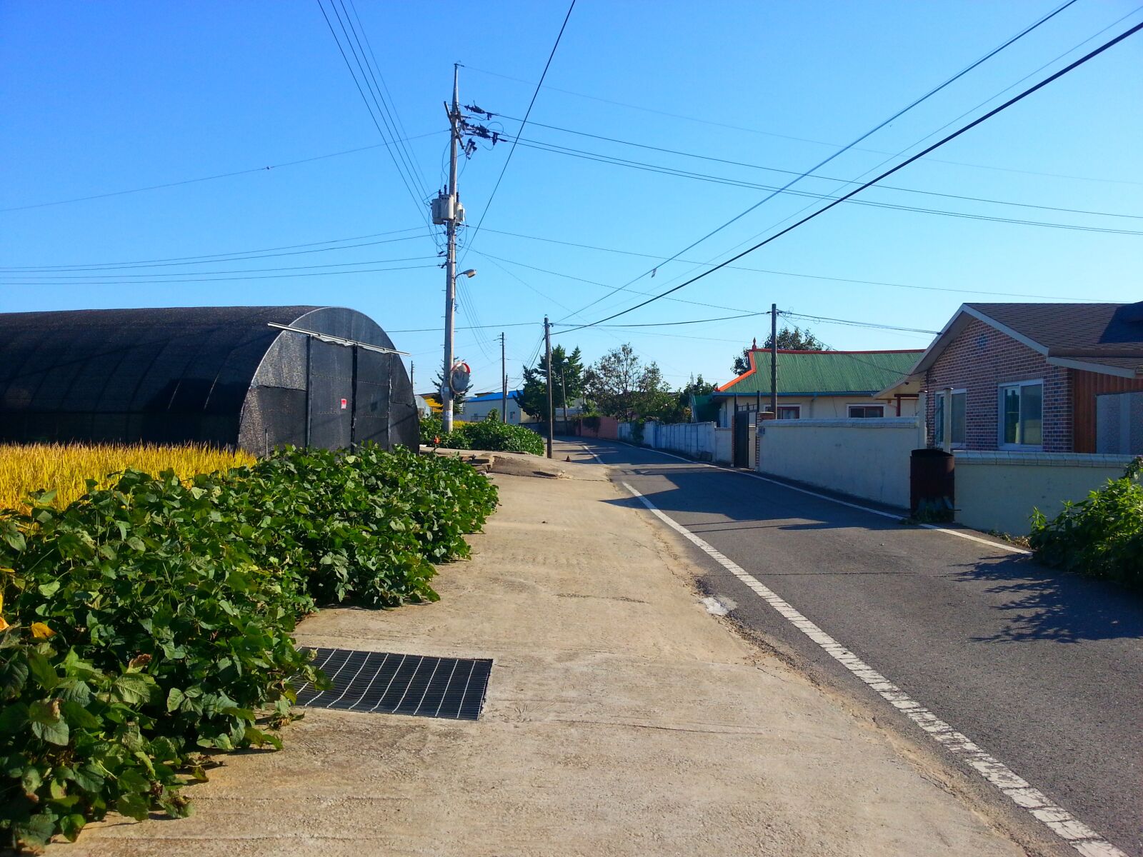 Samsung Galaxy Note2 sample photo. Cottage, nonsan, country road photography