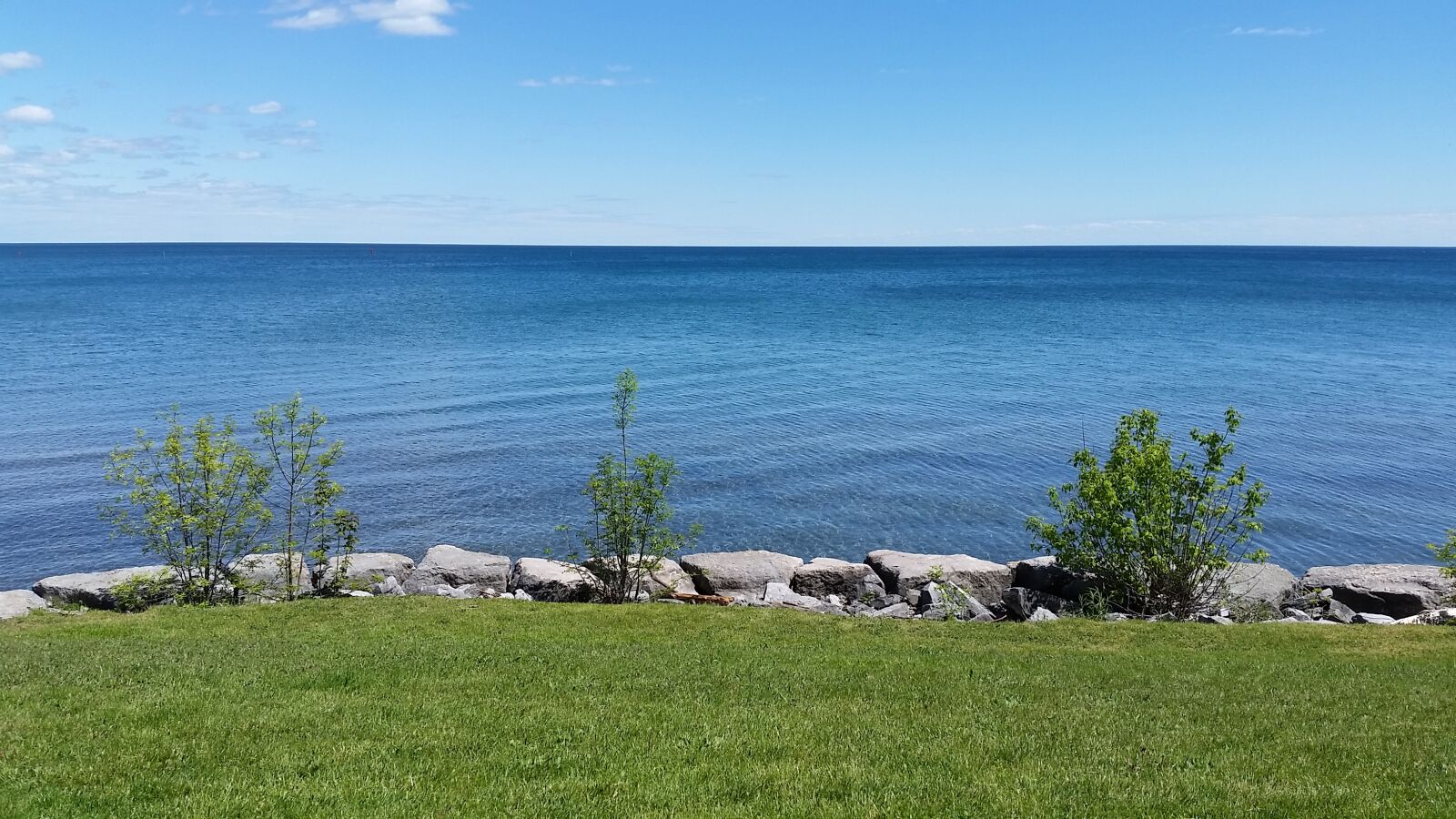 Samsung Galaxy S5 sample photo. Nature, panoramic, grass photography