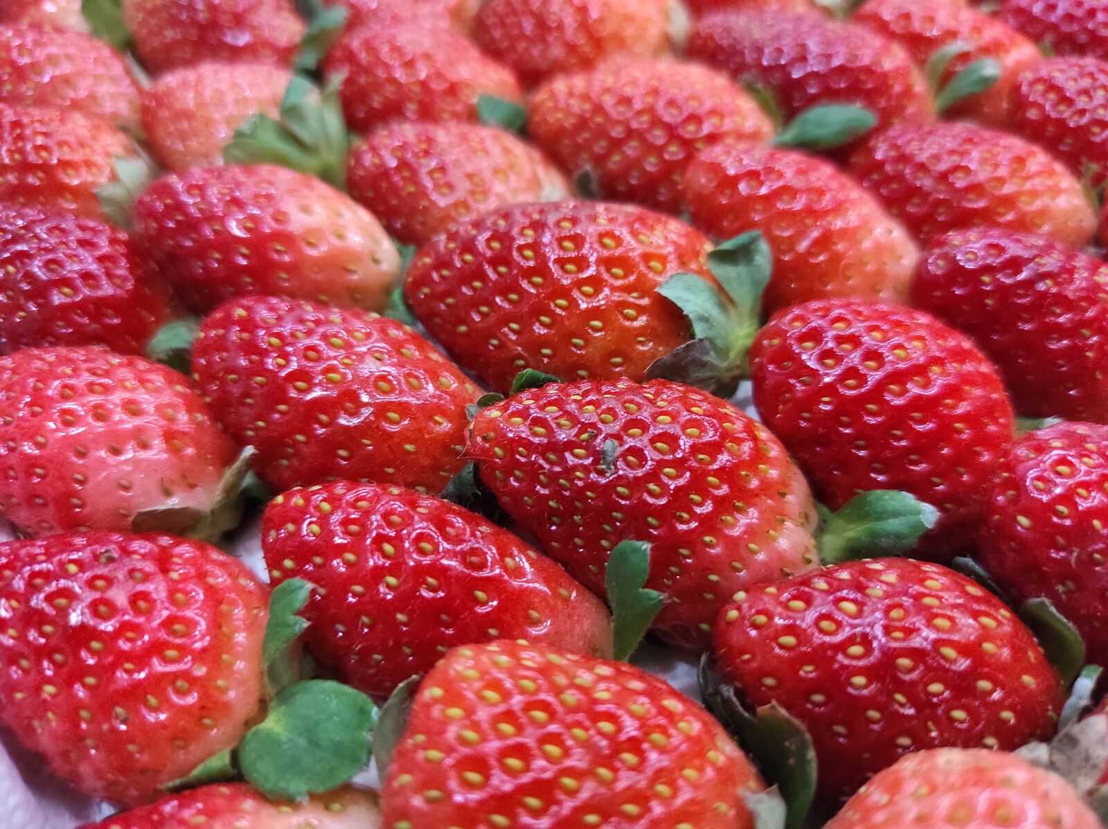 Xiaomi Redmi Note 9 Pro sample photo. Strawberries, fruits, strawberry photography