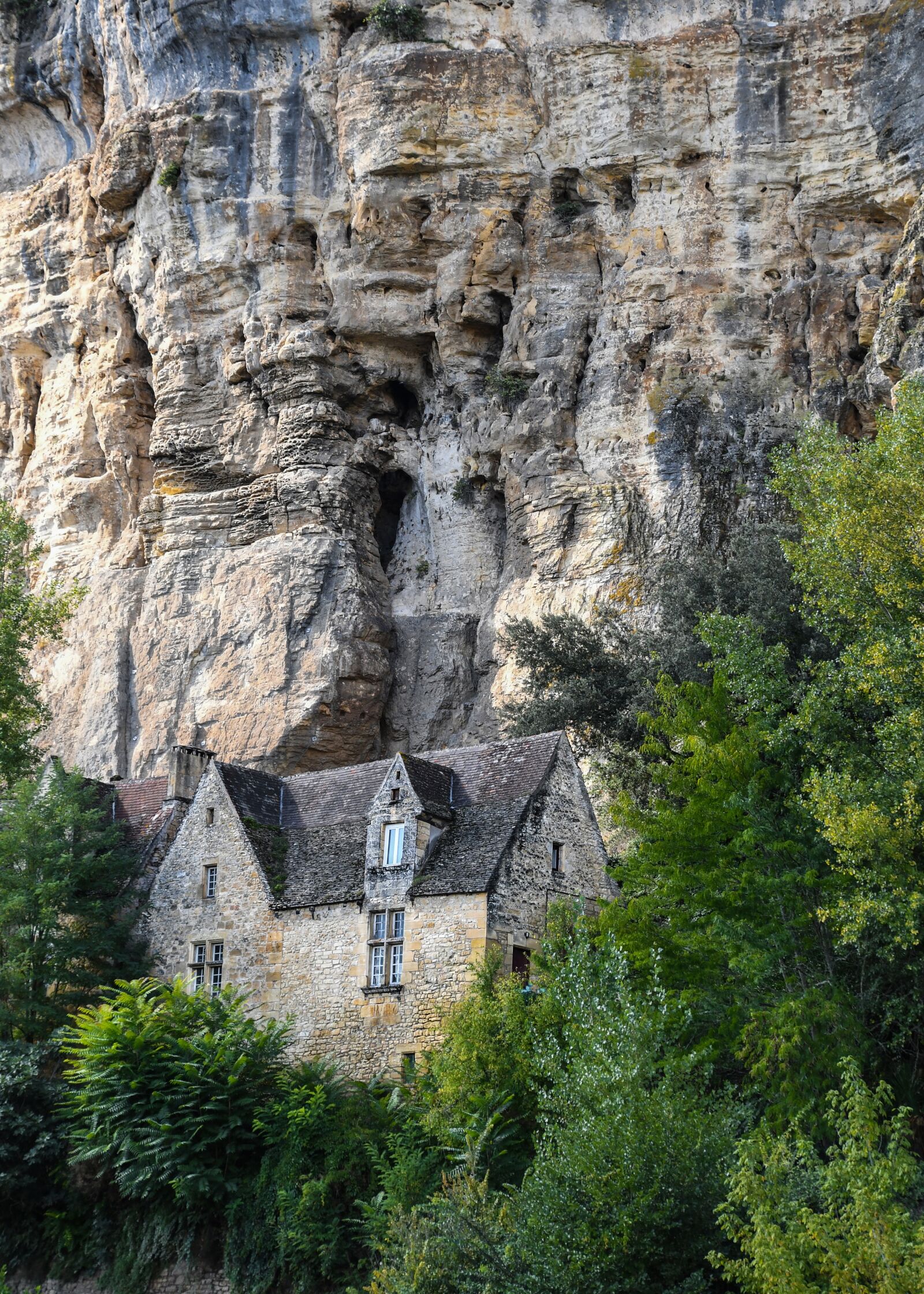 Nikon D500 sample photo. Cliff, house, dordogne photography