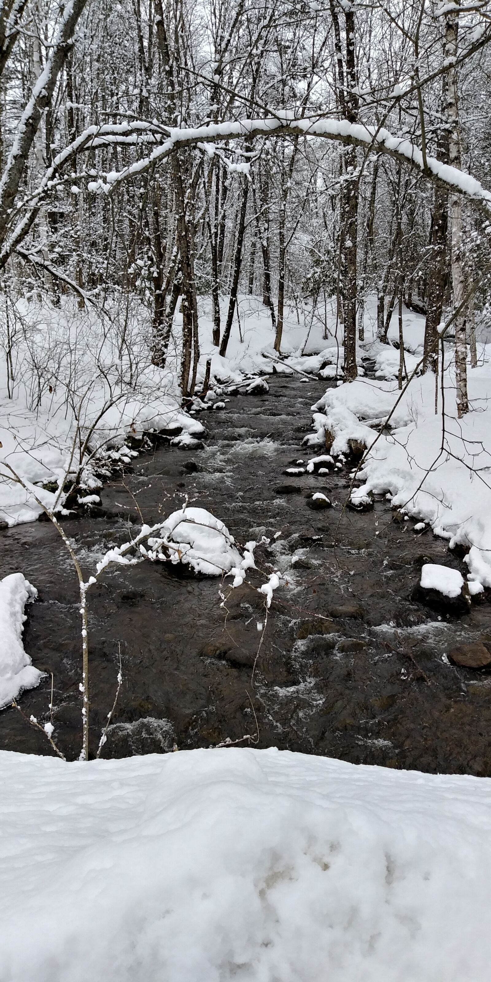 LG Q6 sample photo. Winter, river, nature photography