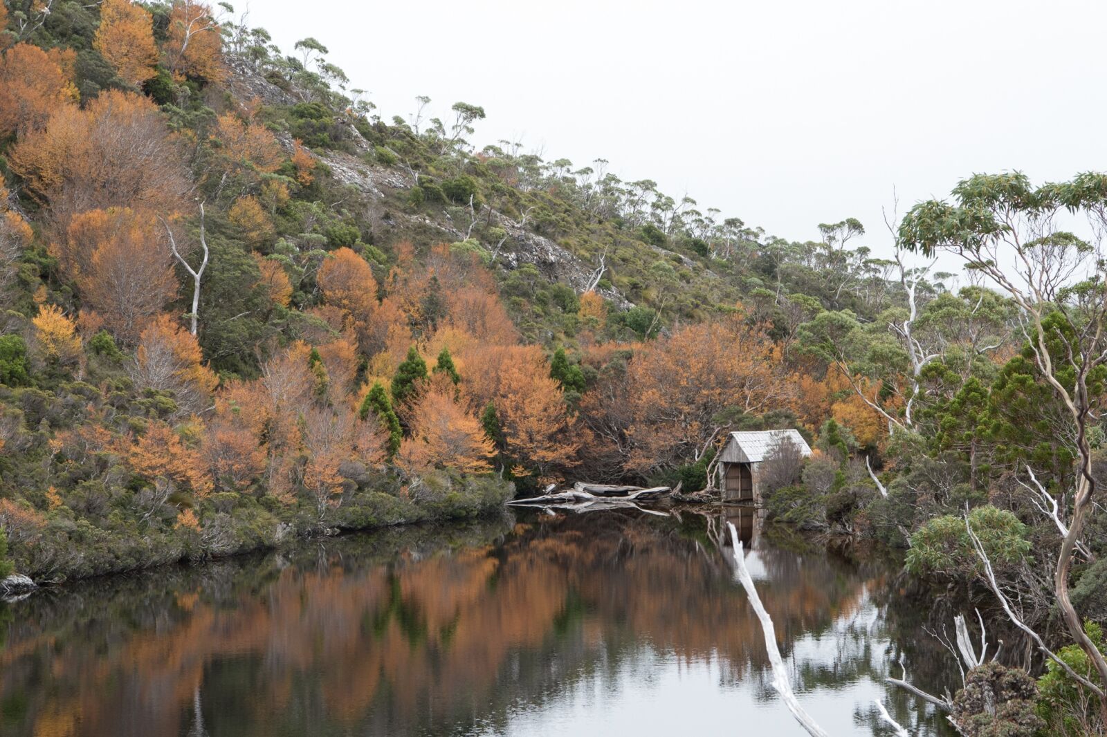 Nikon D750 sample photo. Crater lake, tasmania, scenery photography