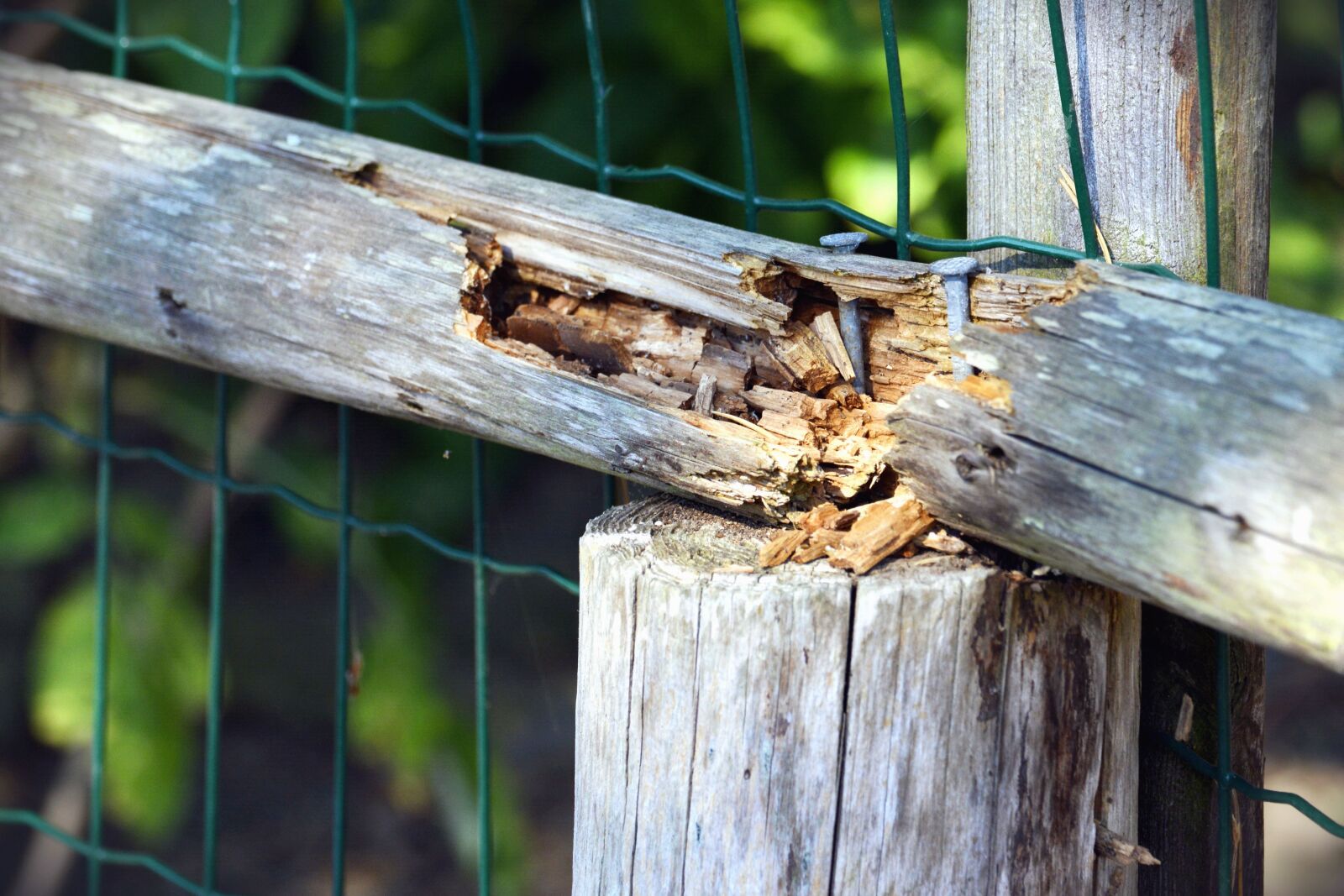 Nikon D5200 sample photo. Fence, wood, metal, network photography