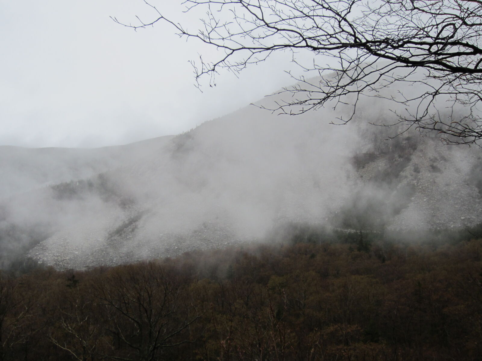 Canon PowerShot ELPH 300 HS (IXUS 220 HS / IXY 410F) sample photo. Clouds, fog, mountains, trees photography