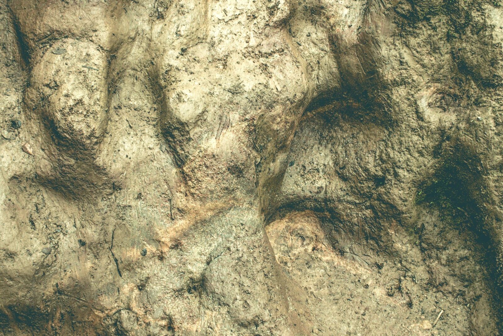 Nikon D5200 sample photo. Stone, marble, dirt, ground photography