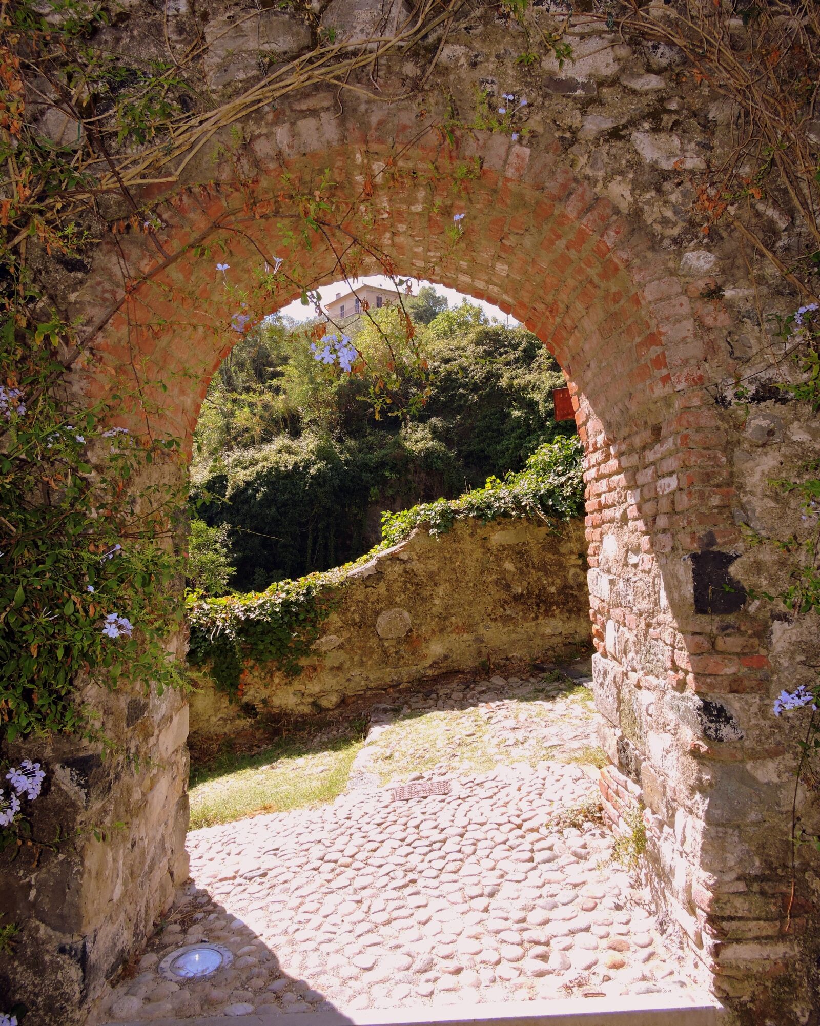 Nikon Coolpix P600 sample photo. Door, open, medieval photography