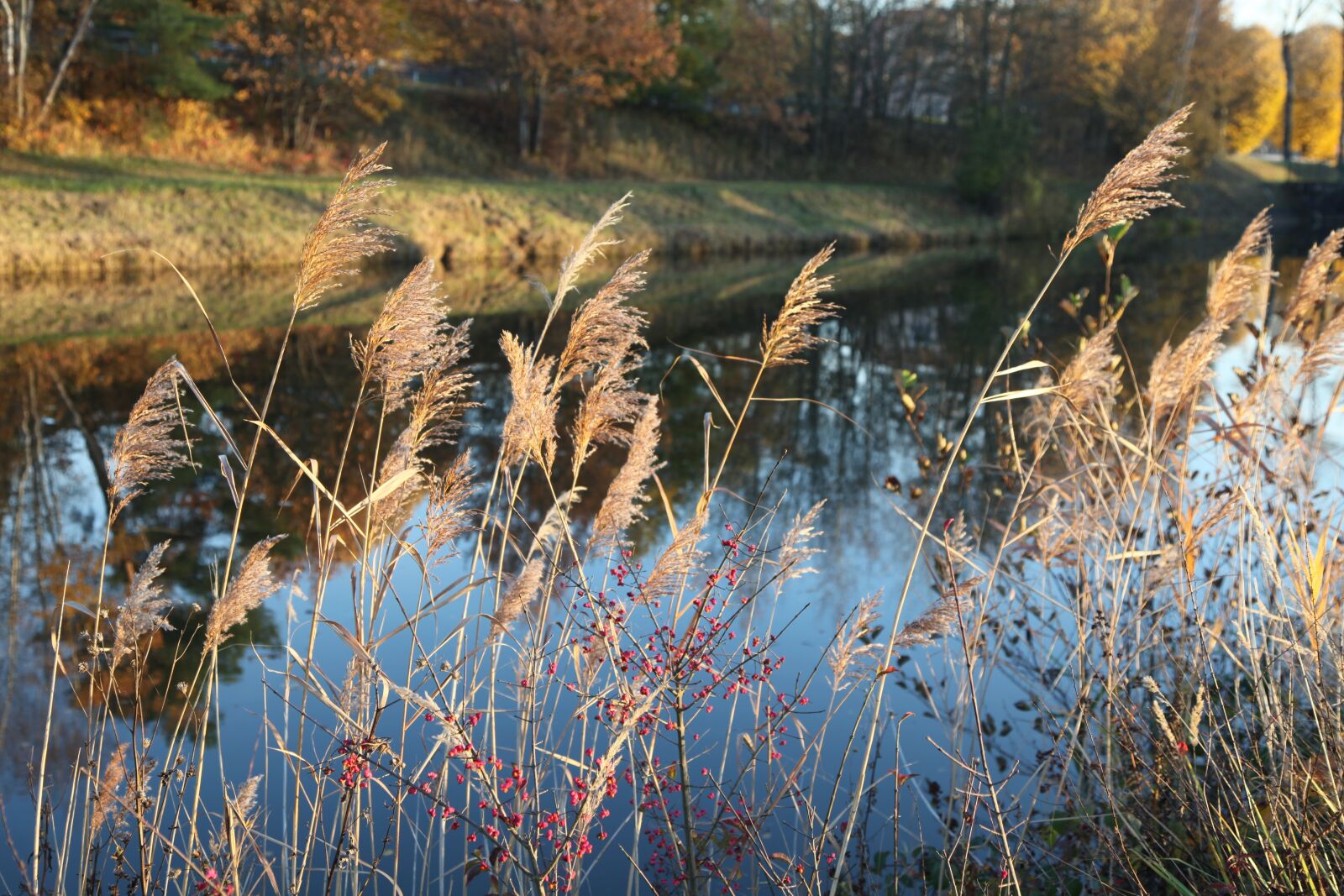 Canon EOS 5D Mark II sample photo. Fall, river, landscape photography
