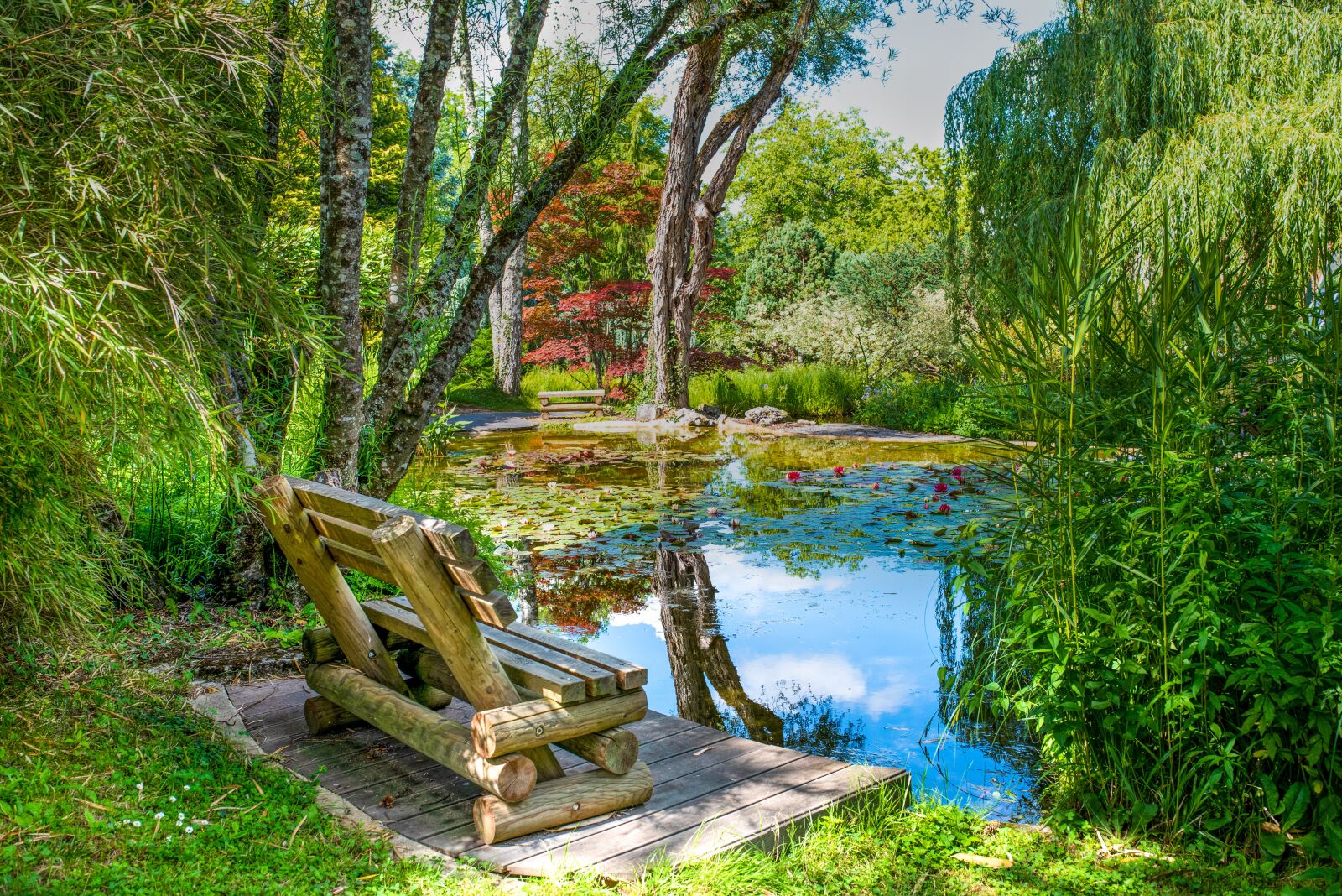 Nikon D750 sample photo. Garden, relaxation, plant photography