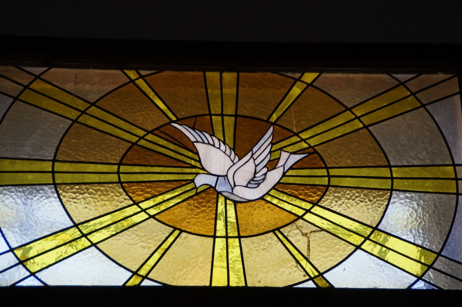 Sony SLT-A58 sample photo. Holy spirit, dove, window photography