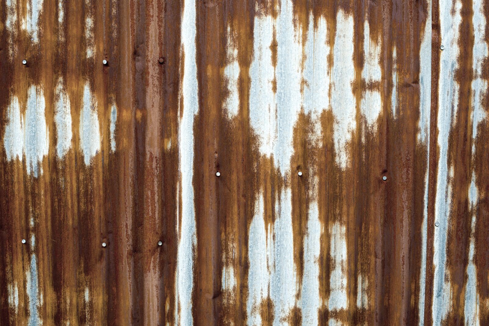 Nikon D610 sample photo. Rustic tin, corrugated, wall photography