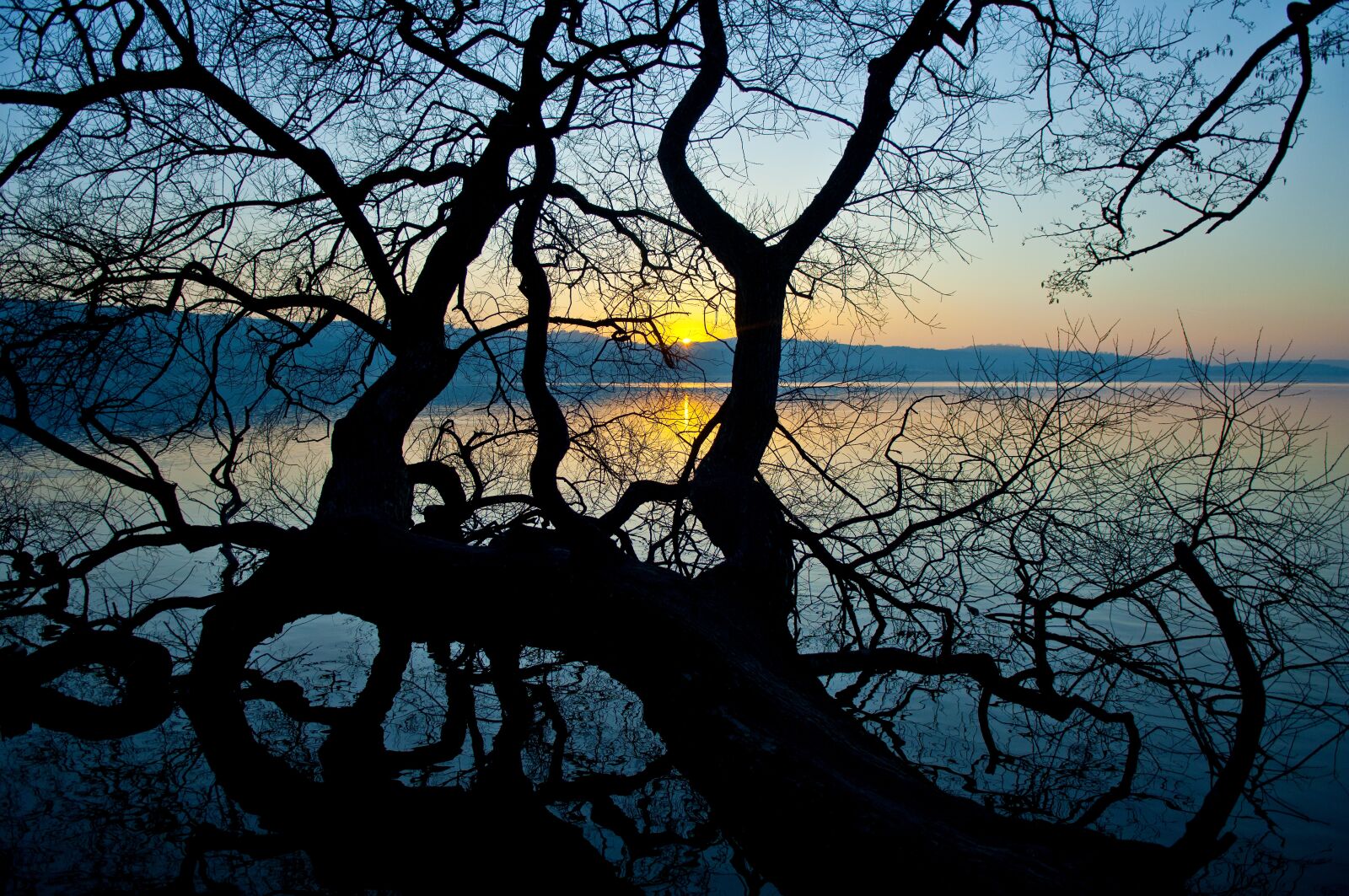 Nikon D2X sample photo. Sempachersee, sempach lake, sempach photography
