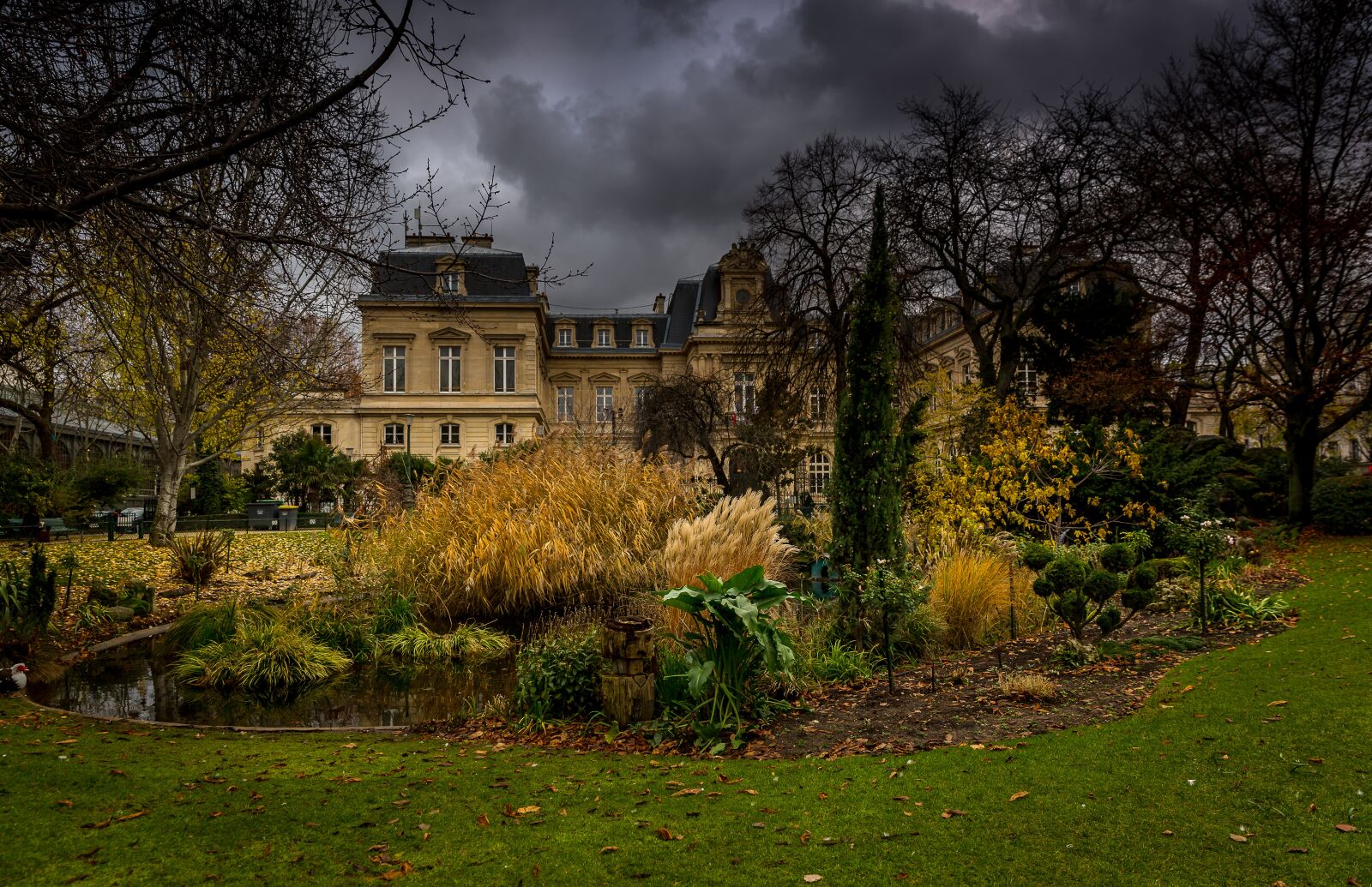 Canon EF 24-70mm F2.8L II USM sample photo. Park, garden, nature photography