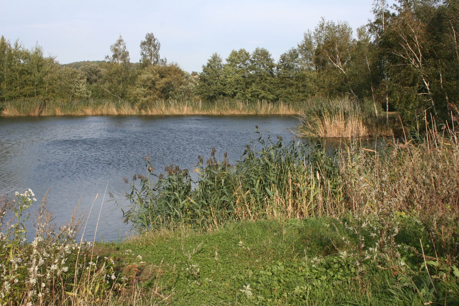 Canon EOS 350D (EOS Digital Rebel XT / EOS Kiss Digital N) sample photo. Lake, autumn mood, walk photography