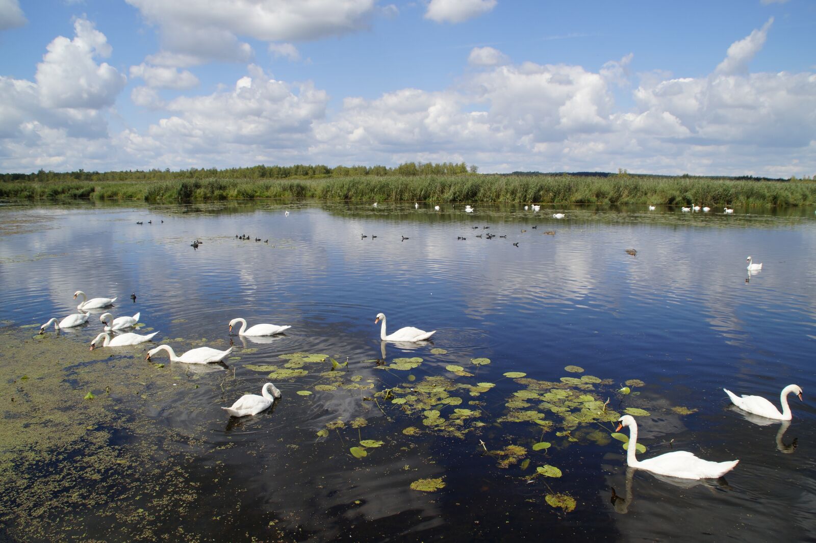 Sony SLT-A58 sample photo. Landscape, spring lake, nature photography
