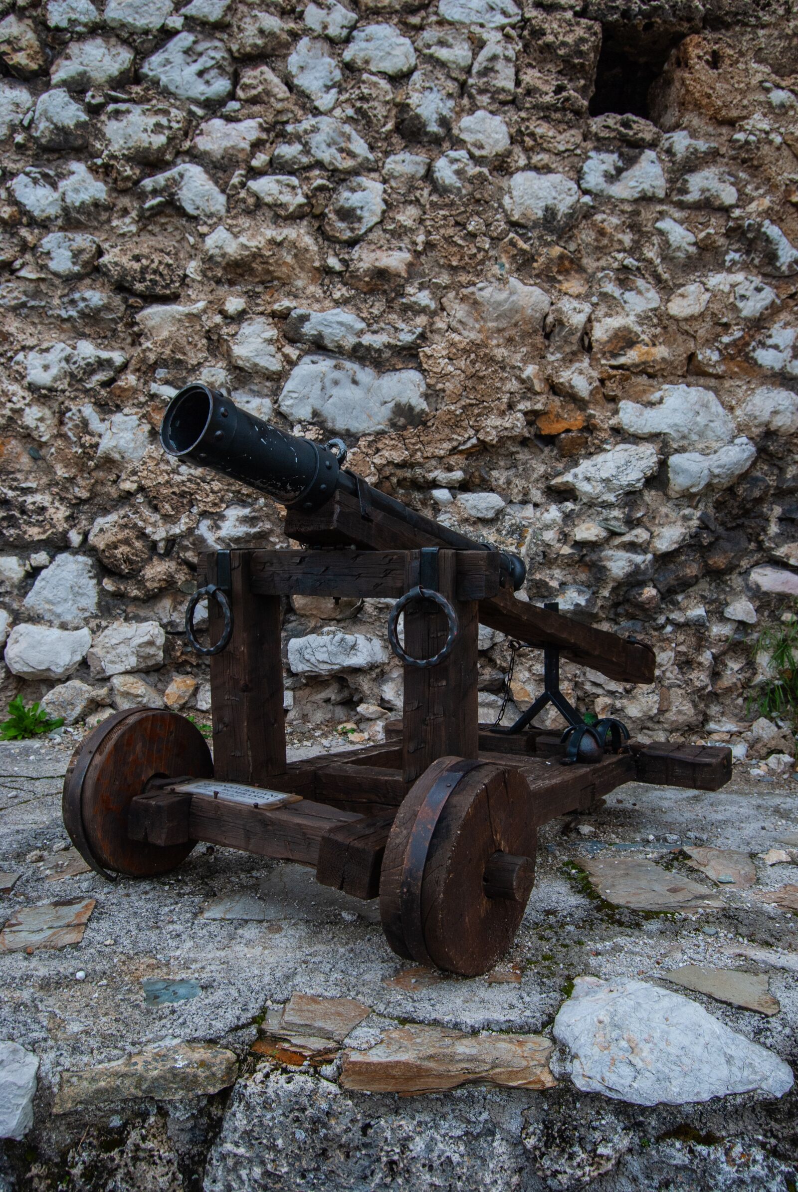 Nikon D60 sample photo. Travnik, cannon, gun photography