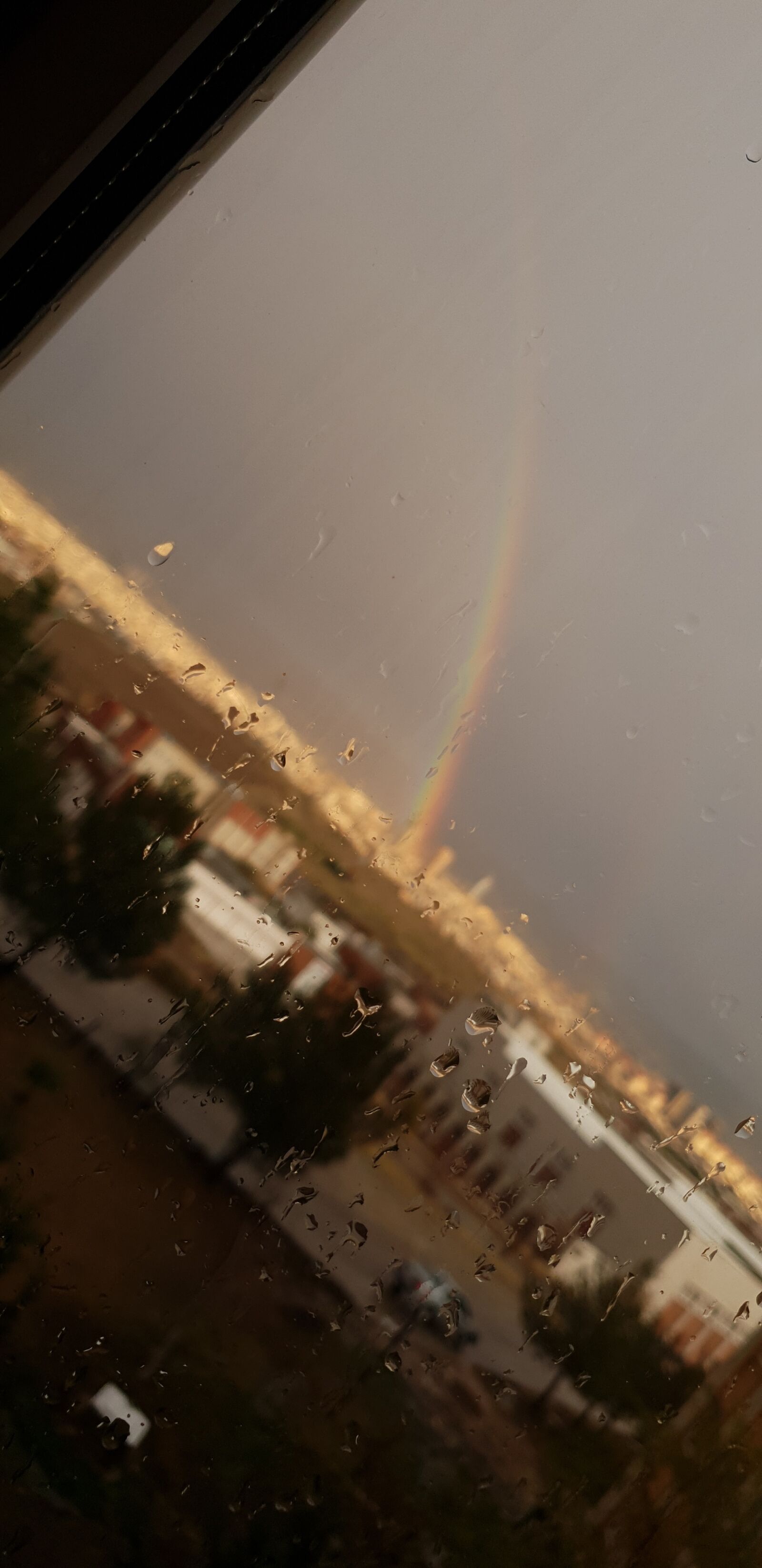 Samsung Galaxy Note9 sample photo. Nature, colorful, rain photography