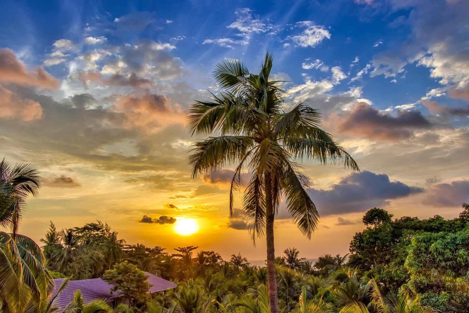 Canon EOS 80D sample photo. Vietnam, west, sky photography